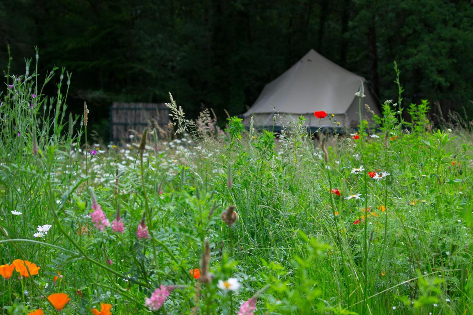 Belair Le Camping Champagnac-de-Bélair Dış mekan fotoğraf